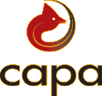 Carolina Asphalt Pavement Association. Click logo for home page.